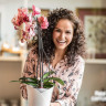 Кашпо Lechuza ORCHIDEA антрацит